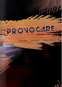 Provocare cover